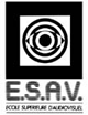 logo ESAV